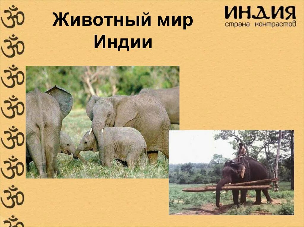 Сообщение о индии. Животный мир древней индии. животный мир индии 5 класс. природа и люди древней индии 5 класс. природа и люди древней индии животный мир древней индии.