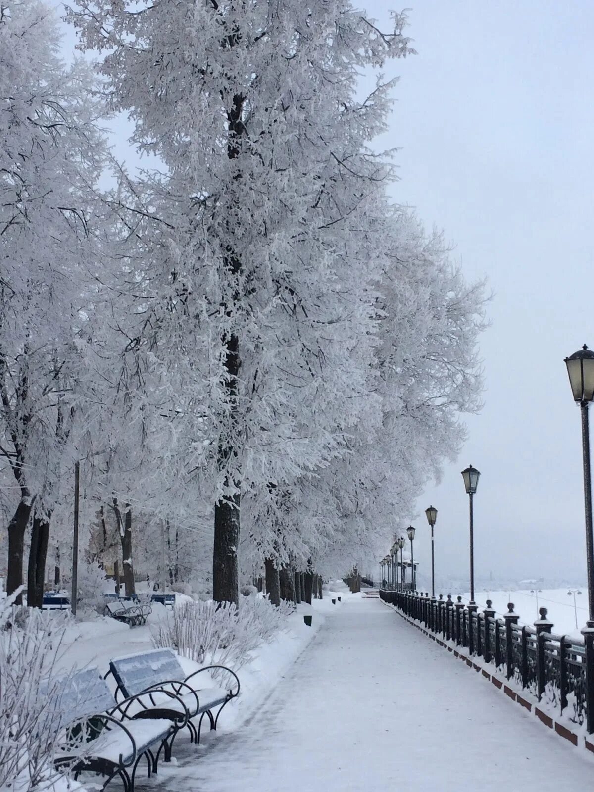 В зимнем сумраке бульвар. Волжский бульвар кинешма зима. кинешма волжский бульвар зимой. кинешма бульвар зимой. кинешма набережная зима.