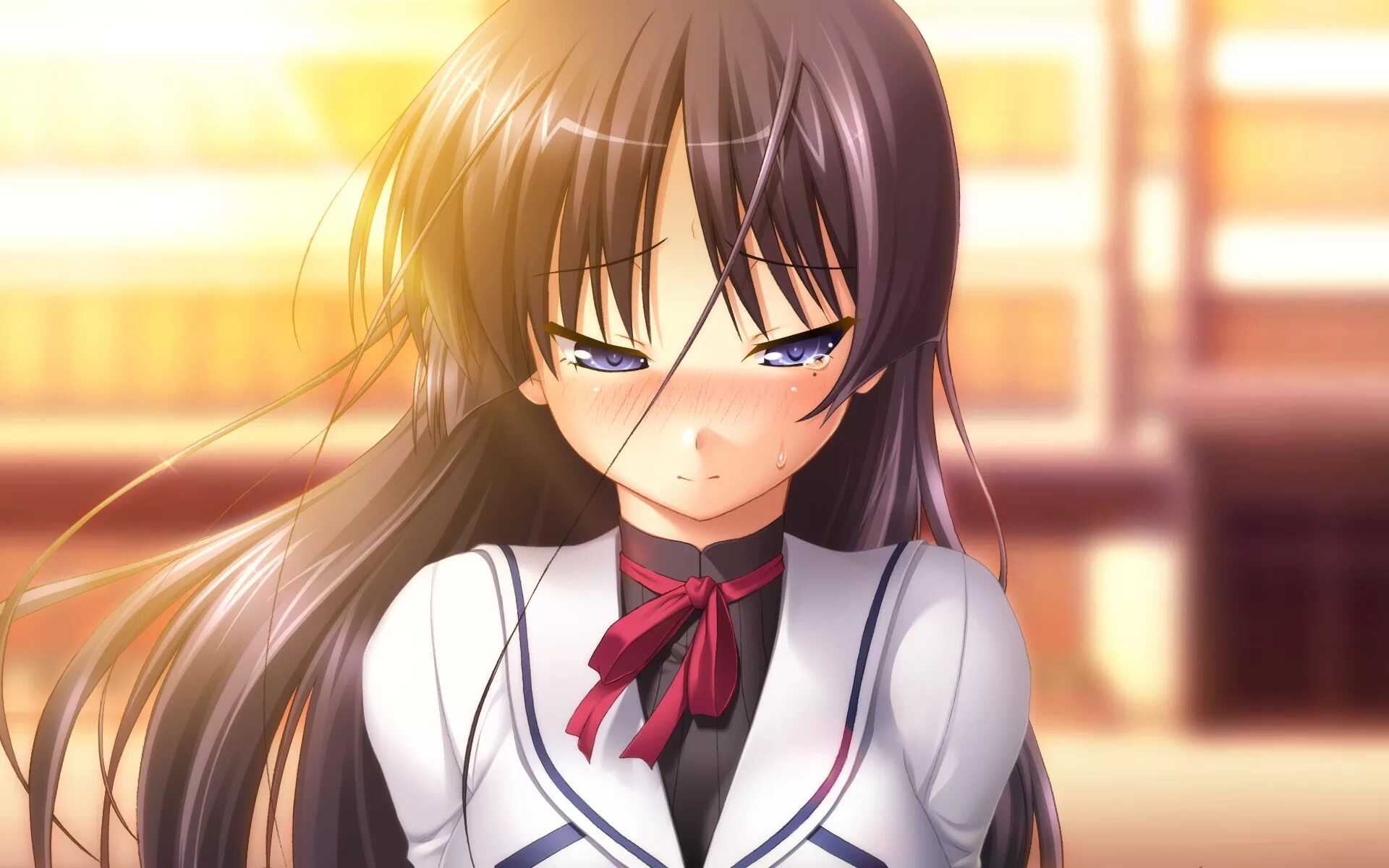 Красивые анимедевоски. Xanime. Анимешка про. Ани е. Анима.