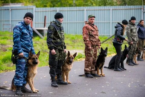 Образование кинолог где получить