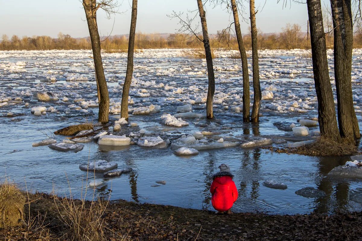 Весенний лед на реке. Таяние льда на водоемах