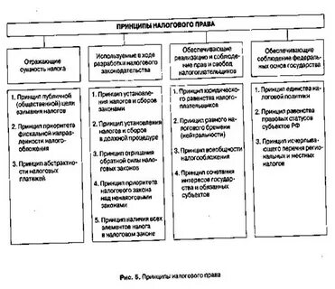 Принципы налогообложения право