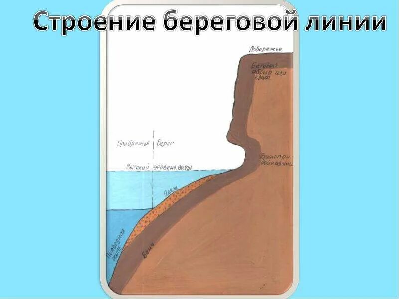 Определение береговой линии. Строение береговой линии. береговая линия схема. как определяется береговая линия. граница береговой линии.