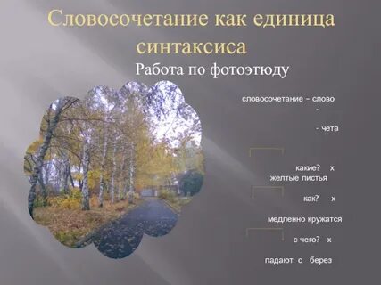 Береза словосочетание