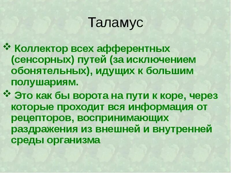 Каковы функции таламуса. Таламус как коллектор афферентных путей. Таламус коллектор афферентных путей. Таламус коректор афферентных путей.