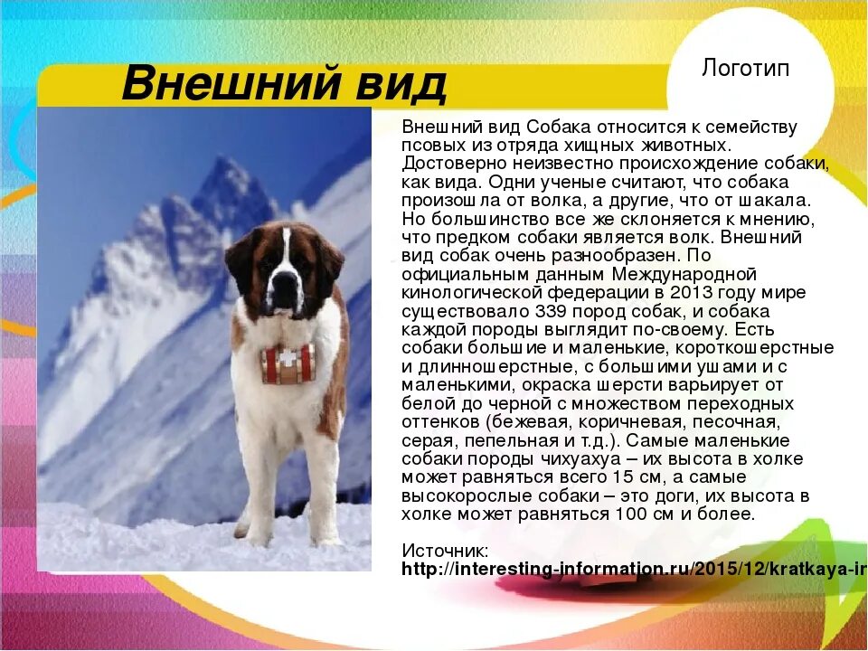 Сочинение про собаку 7 класс. Описание собаки. Животное собака описание. Внешний вид собаки описание. Описать вид собаки.