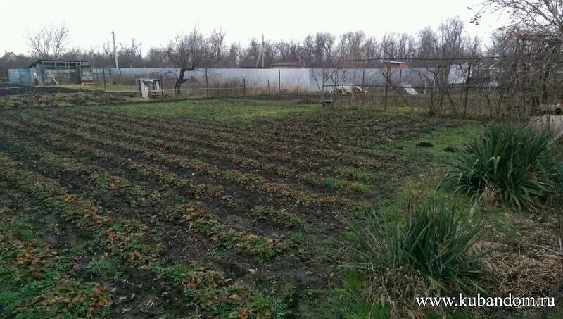снт камушки. площадь садоводства. ферма пермакультура. снт подмосковье тюмень. пермакультура англия.