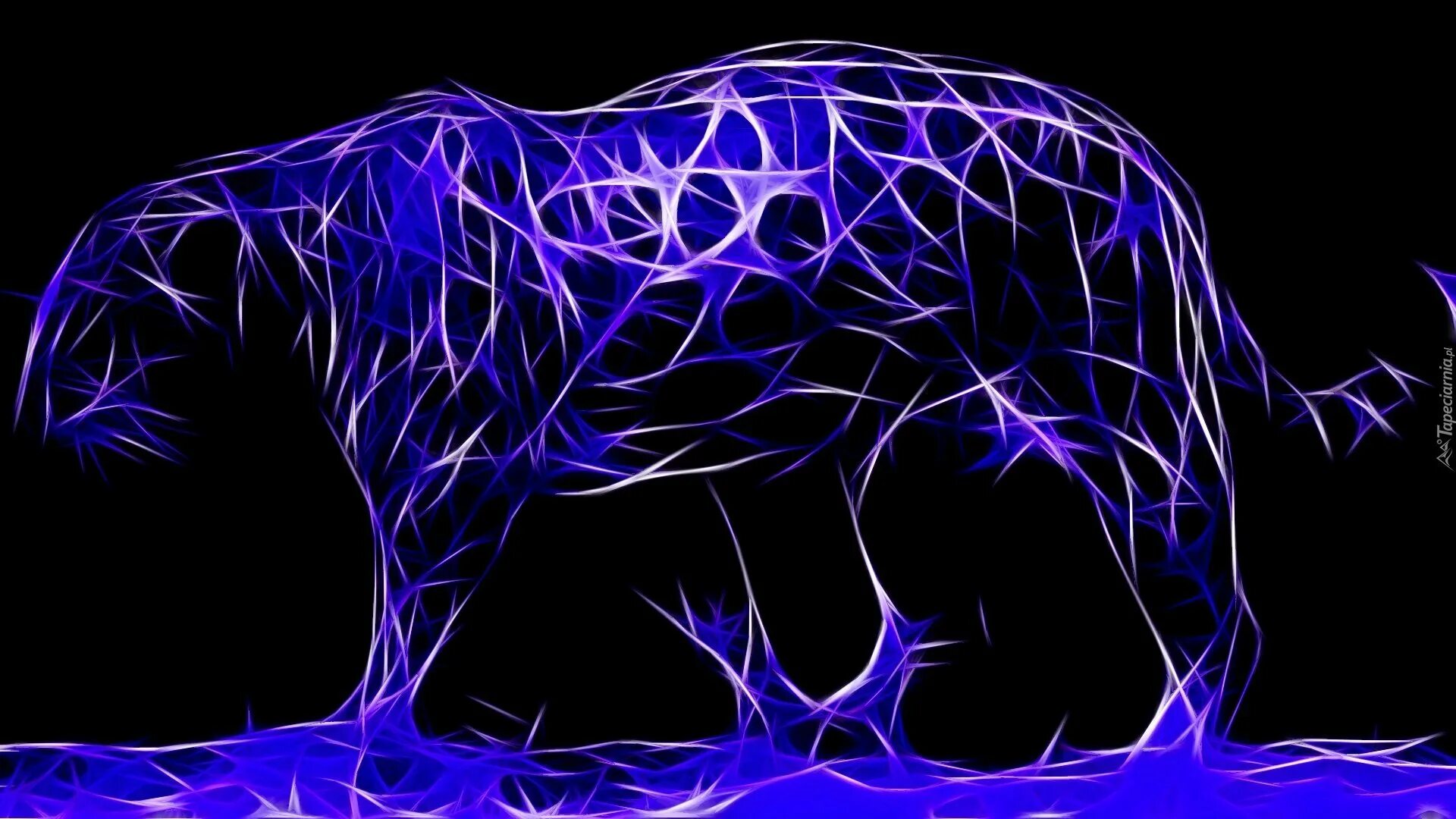 Движущиеся обои на заставку. Обои неоновые животные. неоновые рисунки. компьютерная графика животные. неоновые картинки на рабочий стол.
