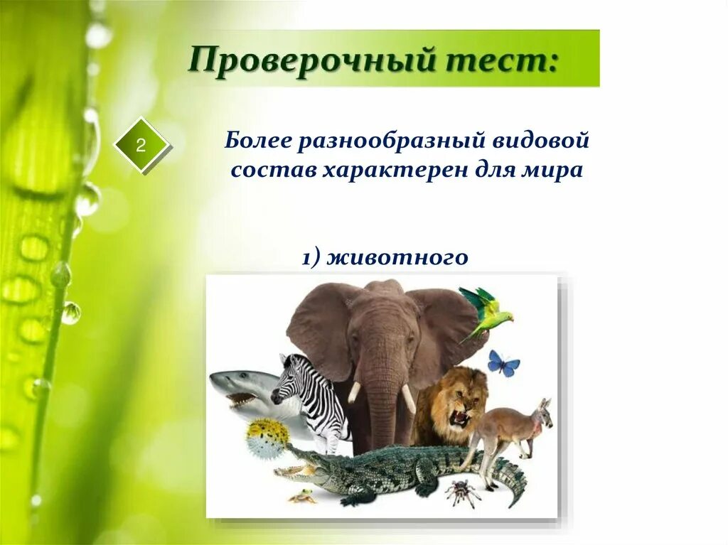 Более разнообразный видовой состав характерен. Биосфера и ее обитатели. живые организмы разнообразны по видовому составу. живая оболочка земли 5 класс презентация.