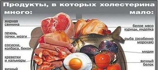 Можно ли есть селедку при повышенном холестерине. Диета при повышенном холестерине. в яйцах есть холестерин. продукты повышающие холестерин.