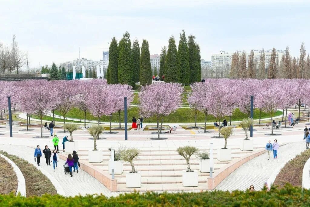 Парк Галицкого в Краснодаре весной японский сад. Парк Краснодар весной.