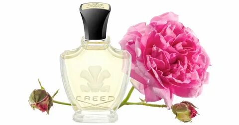 Creed rose