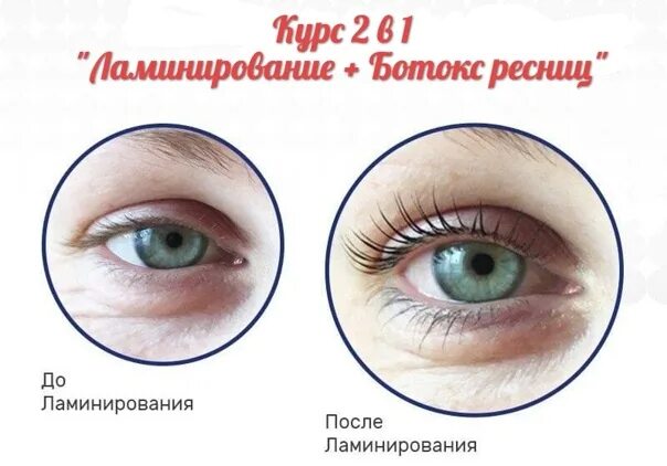 Методичка по ламинированию. Ламинирование ресниц учебное пособие. методическое пособие по ламинированию ресниц. учебное пособие по ламинированию ресниц. ламинирование ресниц и ботокс для ресниц.