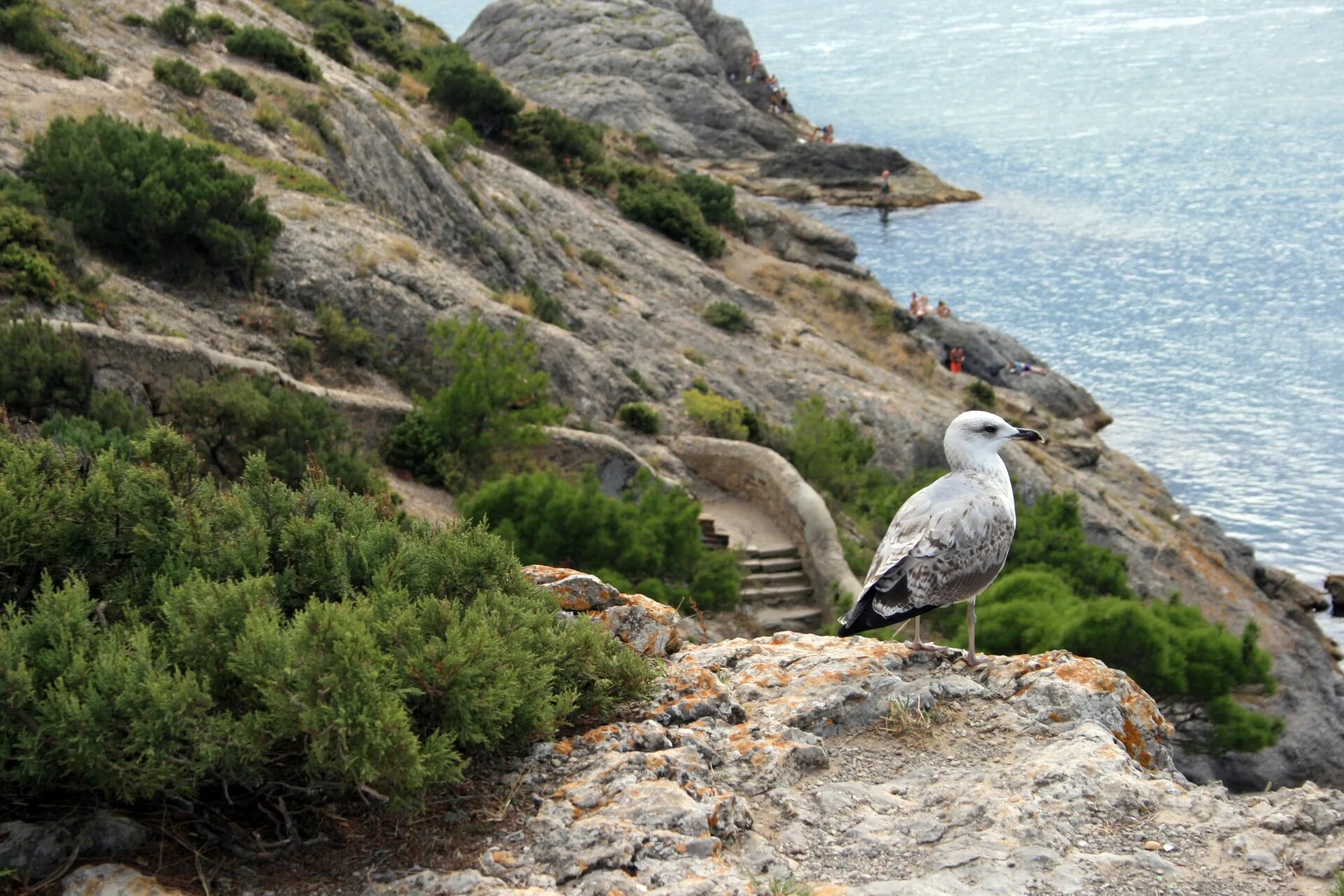 Республика крым, г. Судак улица ленина 82. Судак ул. Время работы почты в судаке. Ленина 66 судак.