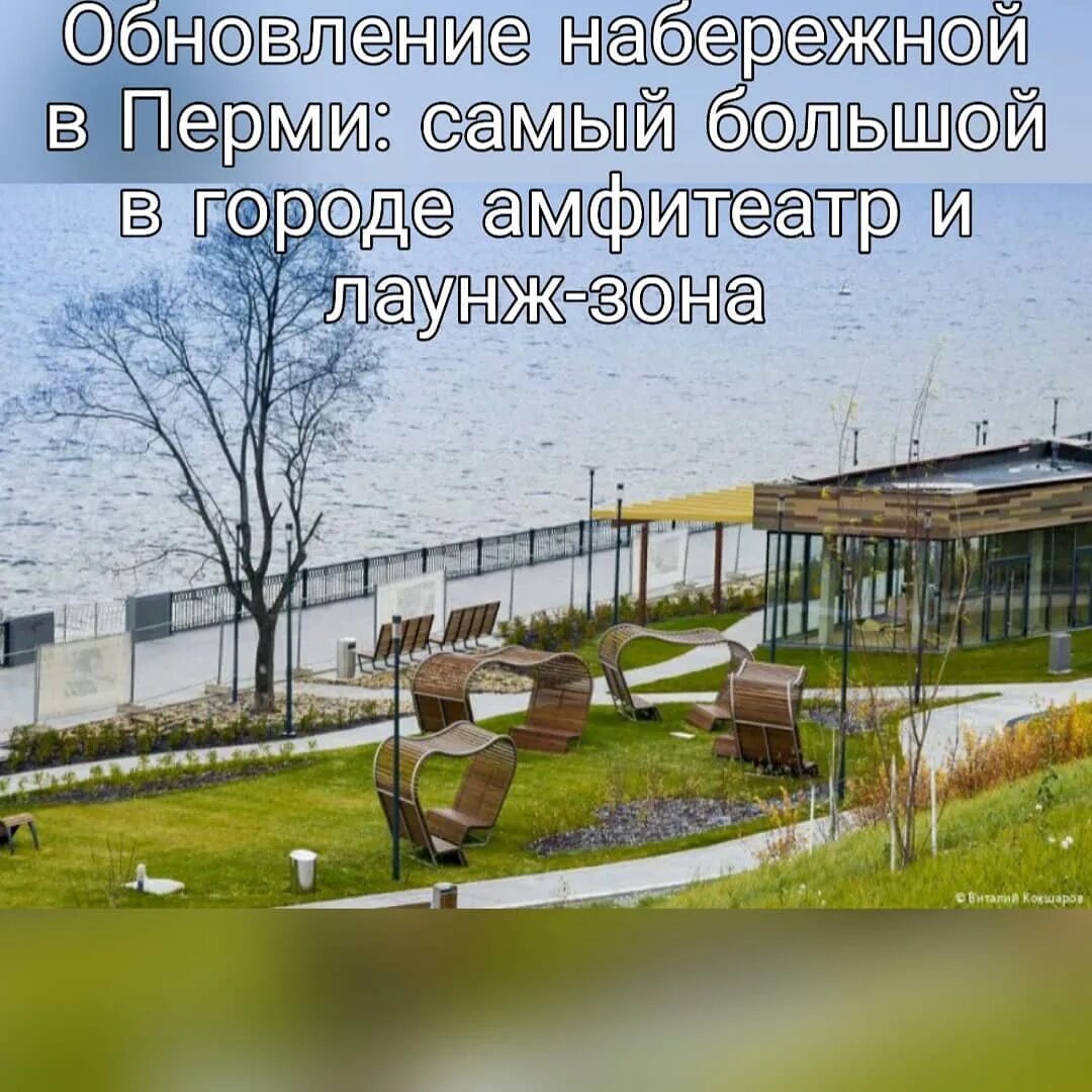 лесопарк. рыбалка на борисовских прудах в москве. место отдыха горожан 4. борисовские пруды москва купаться. путяевский пляж в сокольниках.