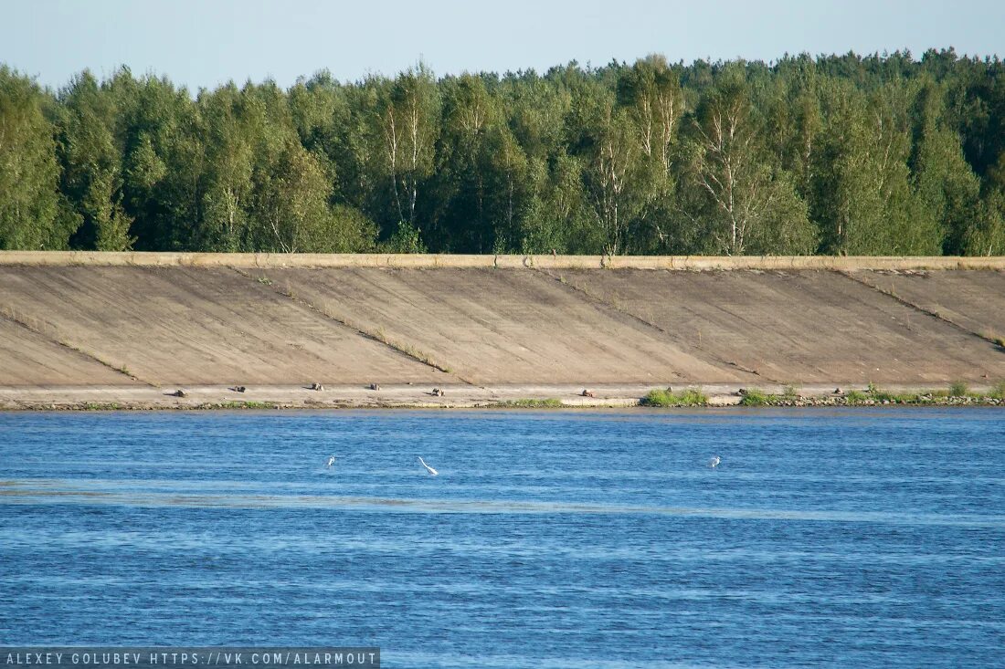 Днепро-Брагинское водохранилище. Абразия берегов водохранилищ. Водохранилище Гомельской области. Переработка берегов водохранилищ. Участок на берегу водохранилища