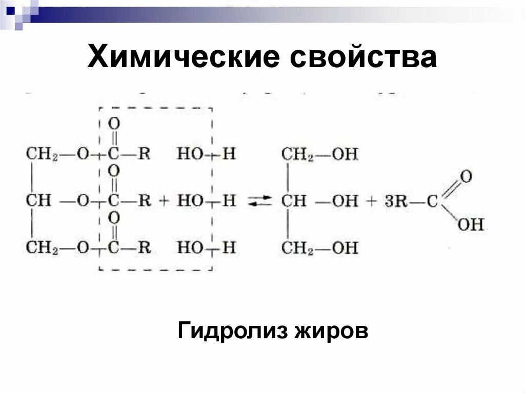 5 строение жиров. Строение жиров. схема строения жиров. химическая структура жиров. строение жиров химия.