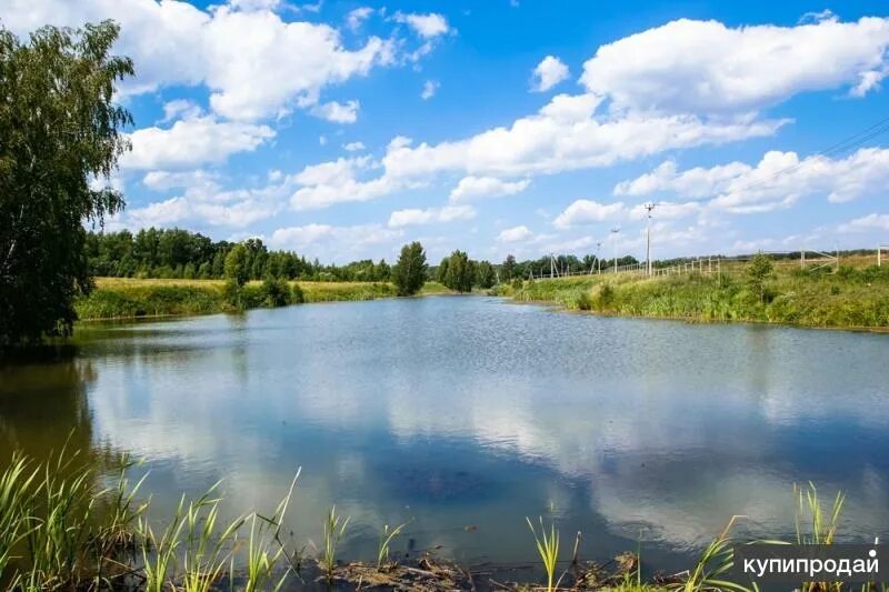 Савино вода. Савино (Заокский район). Пахомовские Луга Тульская область. Деревня Недьяково Тульской области Заокский район. Заокский пруд.