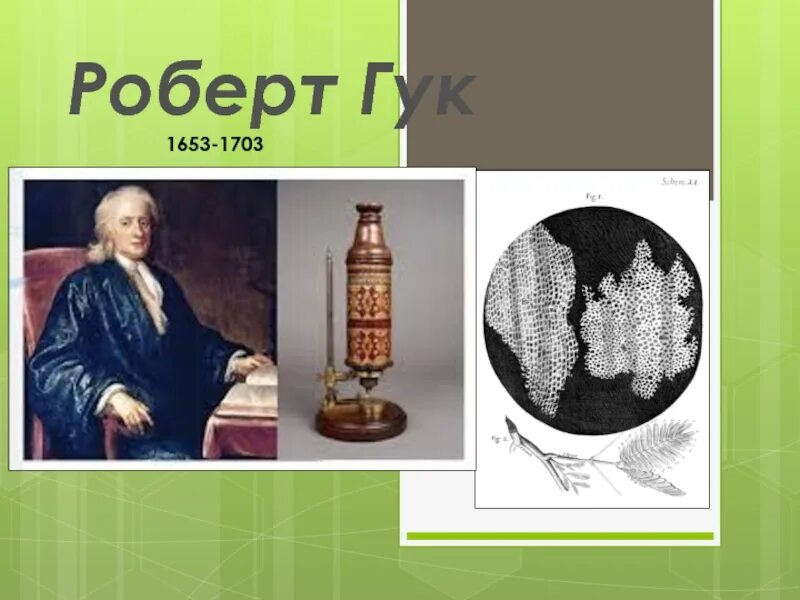 Сообщение о гуке. Сообщение о гуке