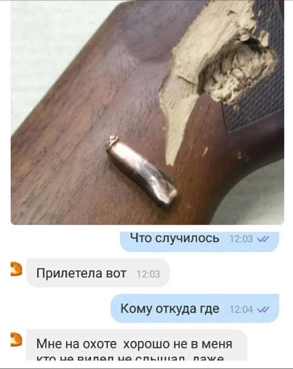 Сообщить ж