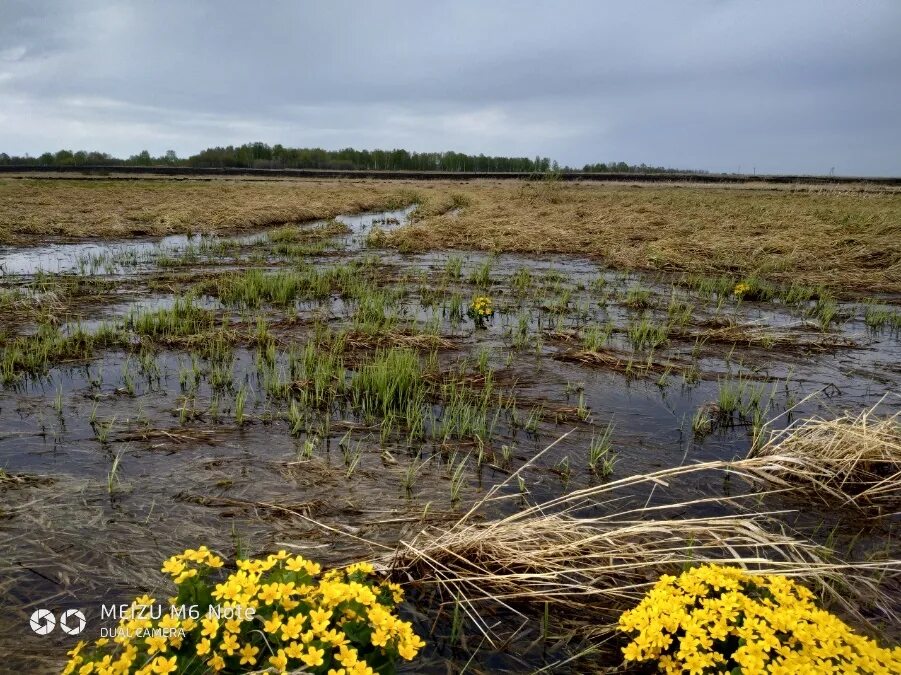 памятники в годы войны. новосибирская область чулымский район, поселок секты. чикман деревня. восстановленные памятники вов. ландкарты 18 века крепость магнитная.