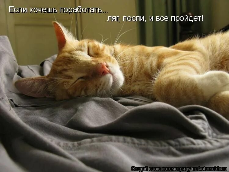 Удивительно приятное занятие лежать. Пора спать отдыхать. Котик проснулся. Спать. Хорошо выспаться и отдохнуть.