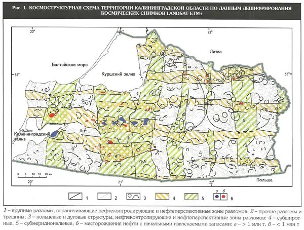 калининградские ресурсы. природные богатства калининградской области янтарь. ресурсы балтийского моря. природные условия и ресурсы калининградской области. рекреационные ресурсы калининградской области.