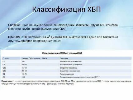 Скф факультеты