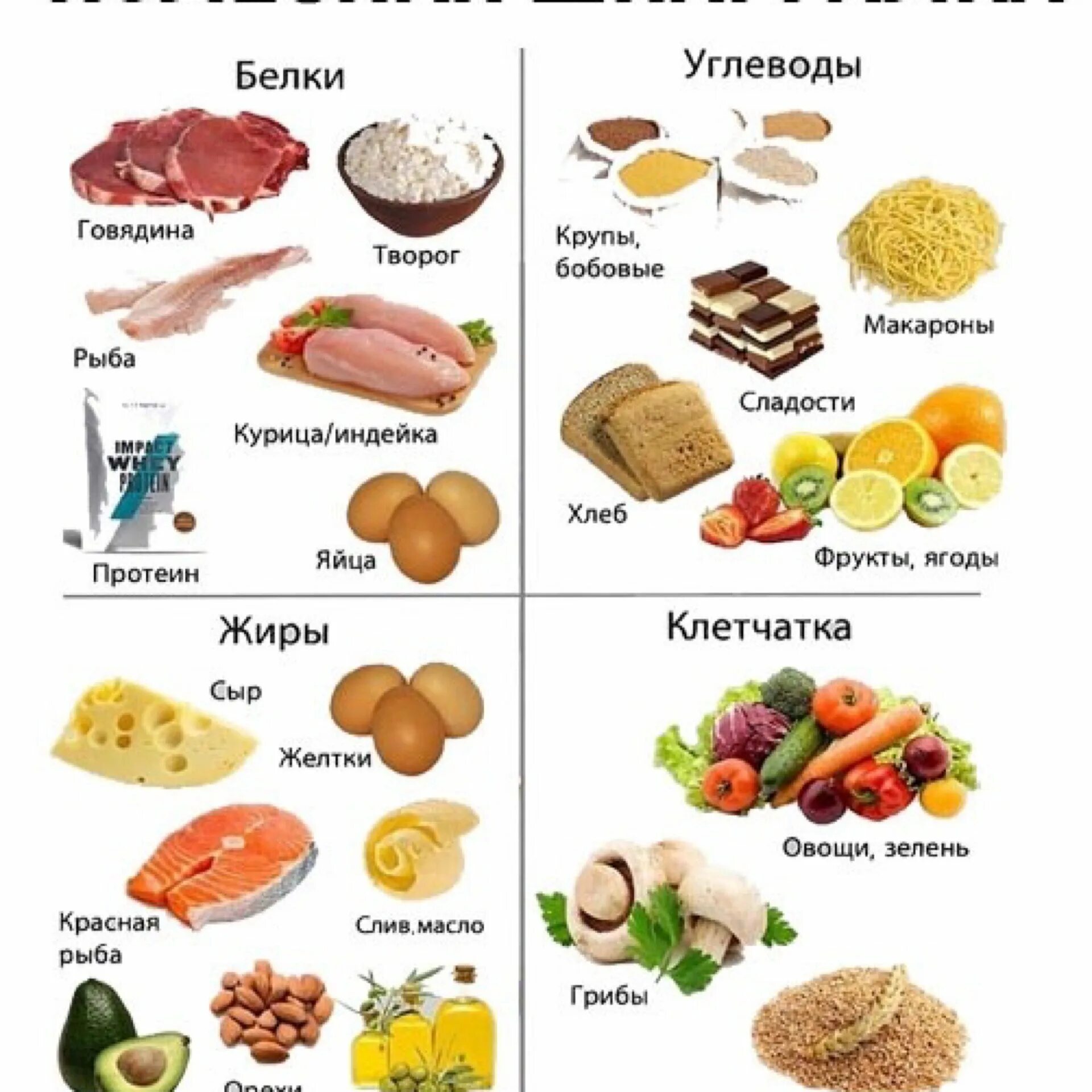 Белки жиры углеводы в продуктах. Полезная шпаргалка углеводы белки. Белки жиры углеводы в продуктах питания таблица. Углеводы для мышечной массы. Белок питание для похудения