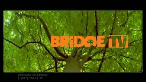 Bridge tv 2007