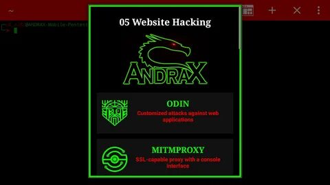 The web application hacker s handbook