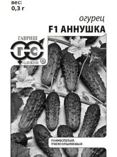 Огурцы сорт аннушка