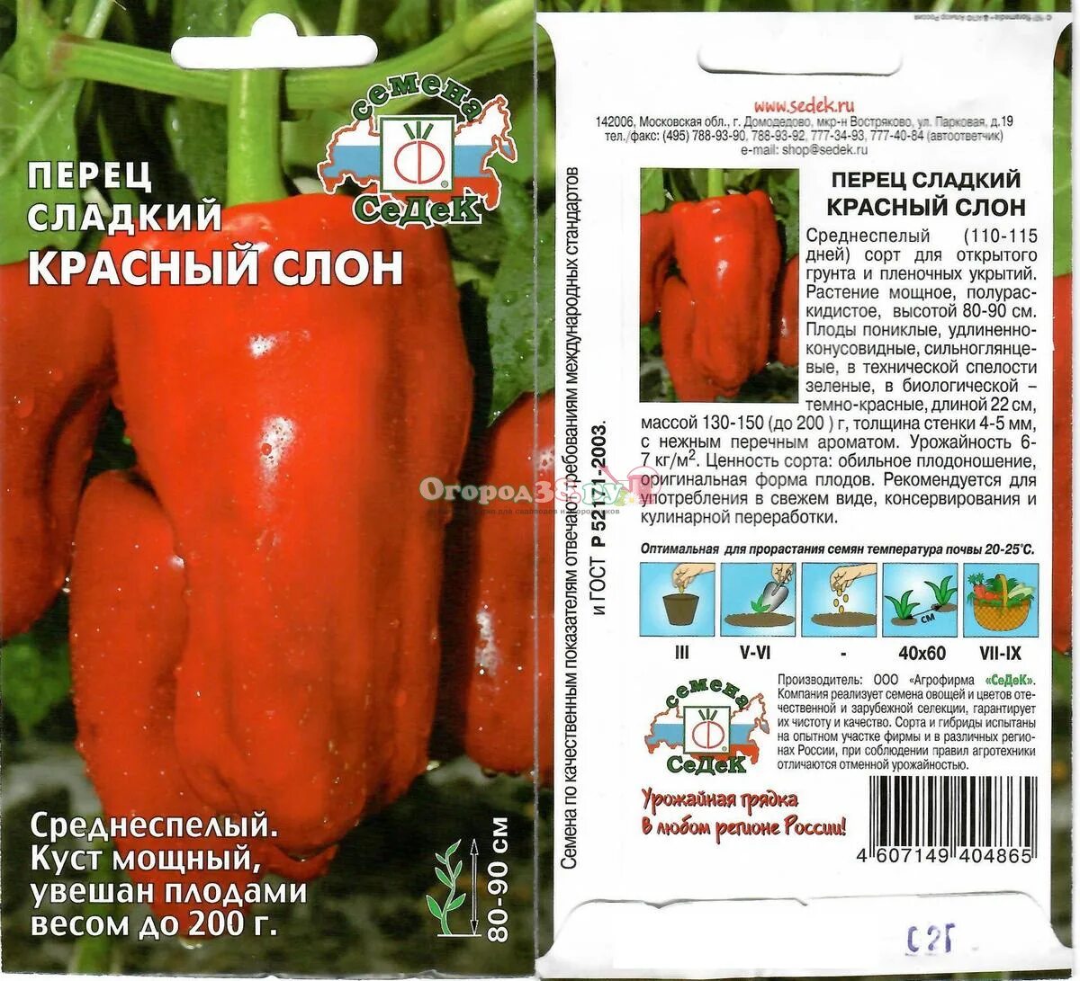 Перец слон описание сорта фото отзывы Перец слон описание сорта фото отзывы