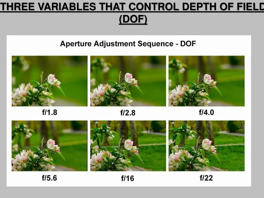 Разница диафрагмы. Диафрагма и глубина резкости. Закрытая диафрагма в фотоаппарате. Диафрагма f/1.8. Глубина резкости в мире нет