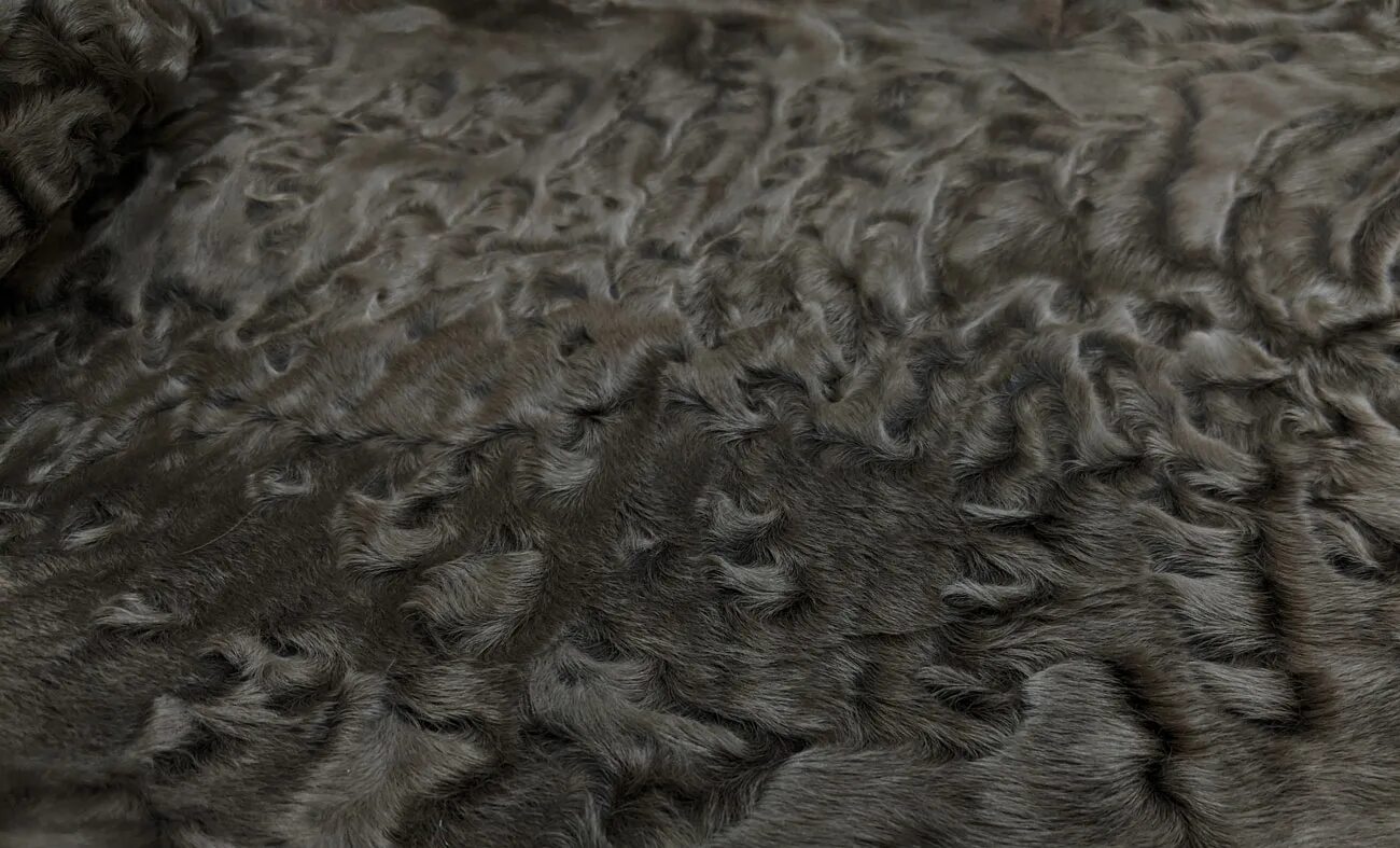 мех каракуля. игр каракуля. каракуль каракульча мерлушка. шерсть каракуль. игр каракуля.