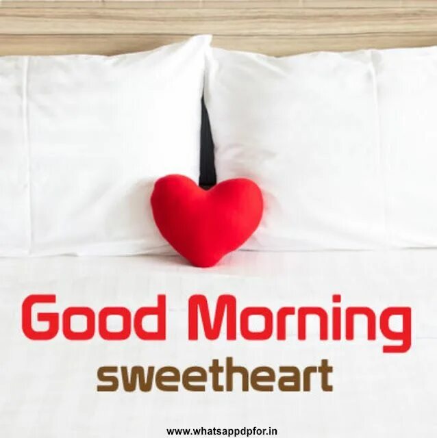 Good morning sweetheart картинки. Sweetheart morning. Good morning sweetheart картинки. Good morning my sweetheart картинки. Good morning sweetheart картинки.
