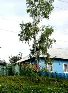 Погода курская область хомутовский