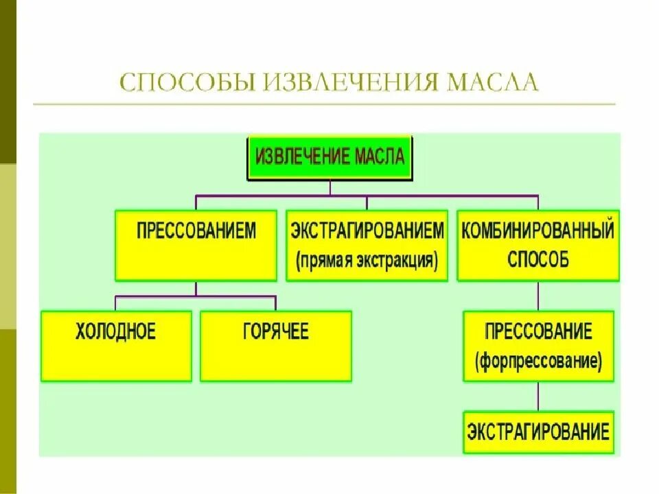 Способы извлечения растительных масел. Способы получения растительных масел. Процесс получения растительного масла. Способы экстракции масла. Методы получения масел