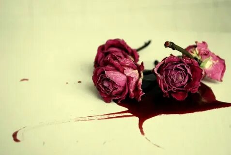 Bloody roses