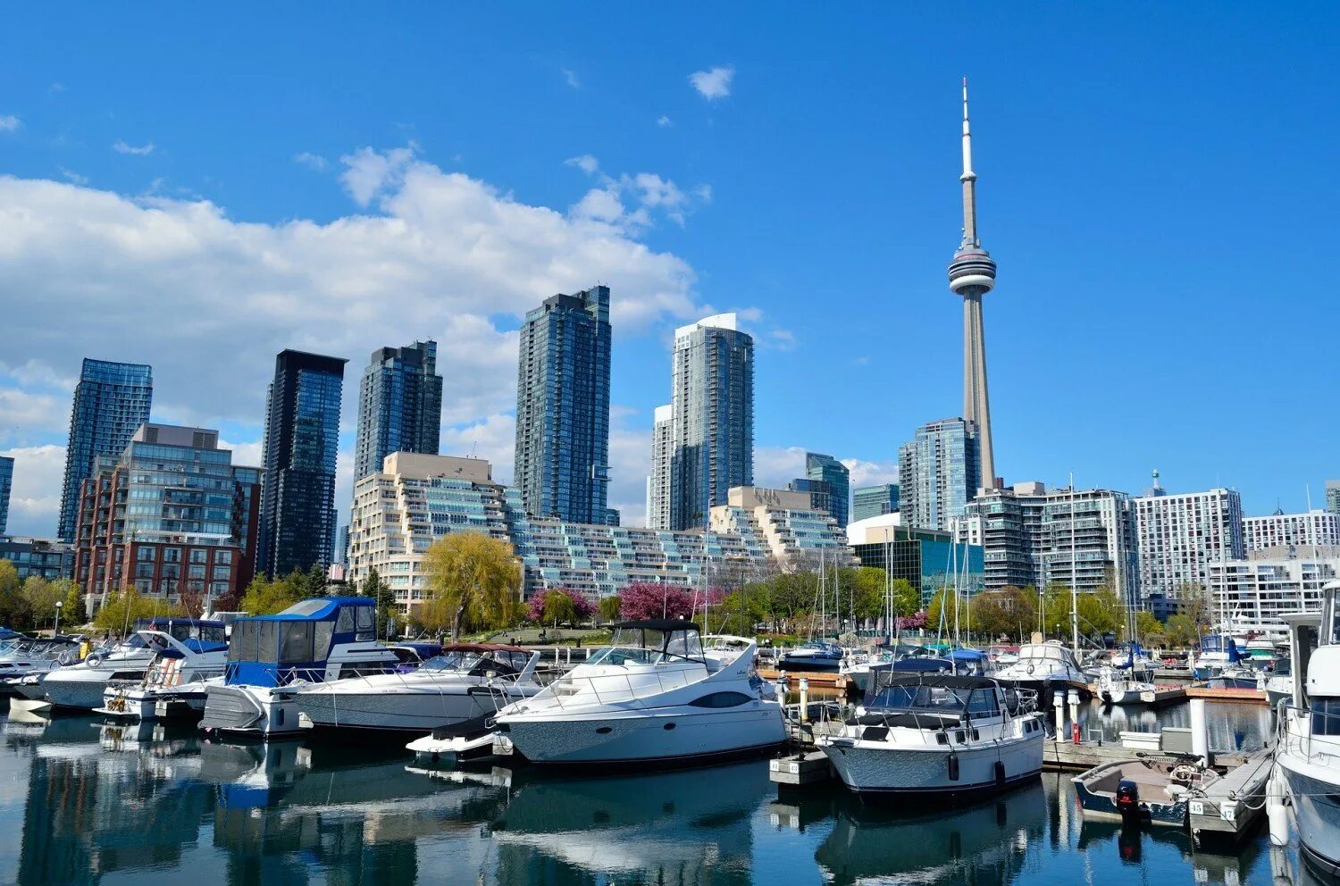 Город торонто страна. Торонто Канада. Торонто Канада фото. Онтарио город в Канаде. Торонто Онтарио.