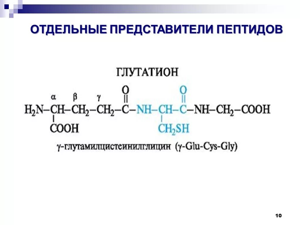 О структуре полипептидов в транскриптоне содержит