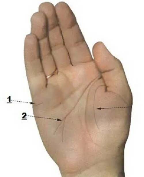 Линия жизни две параллельные линии. Венец безбрачия хиромантия. Две параллельные линии жизни. Линия жизни. Хиромантия линия головы раздваивается.