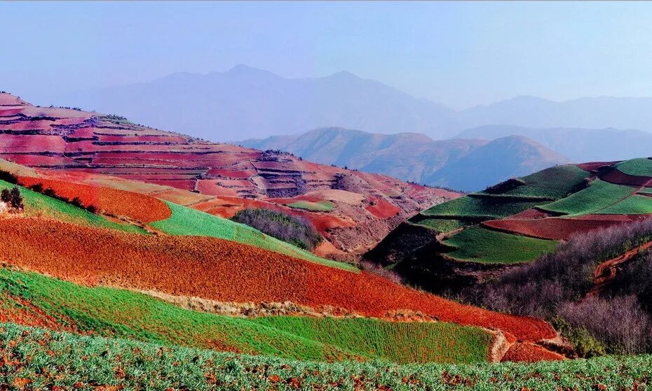 Азиатских земель. Цветочные поля канола, графство луопинсянь – китай. Оросительный канал. Лаос земледелие. Азиатских земель.