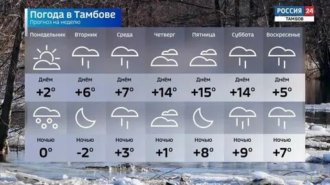 Погода в симферополе на месяц ноябрь 2024