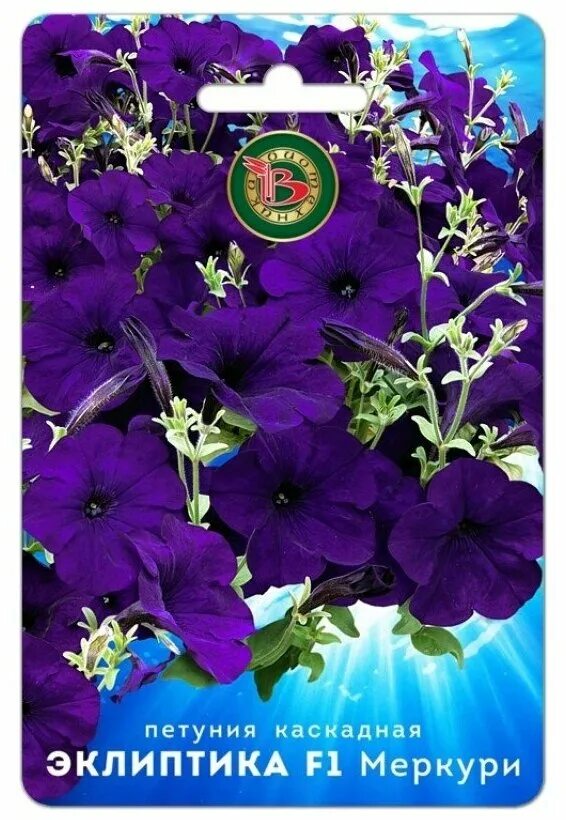 петуния эклиптика. петуния эклиптика f1 меркури каскадная (биотехника). петуния каскадная эклиптика f1 стардаст. петуния эклиптика. петуния эклиптика f1 милки вей биотехника ц.