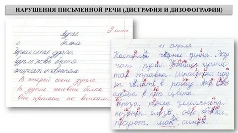 Запиши предложения по законам письменной речи