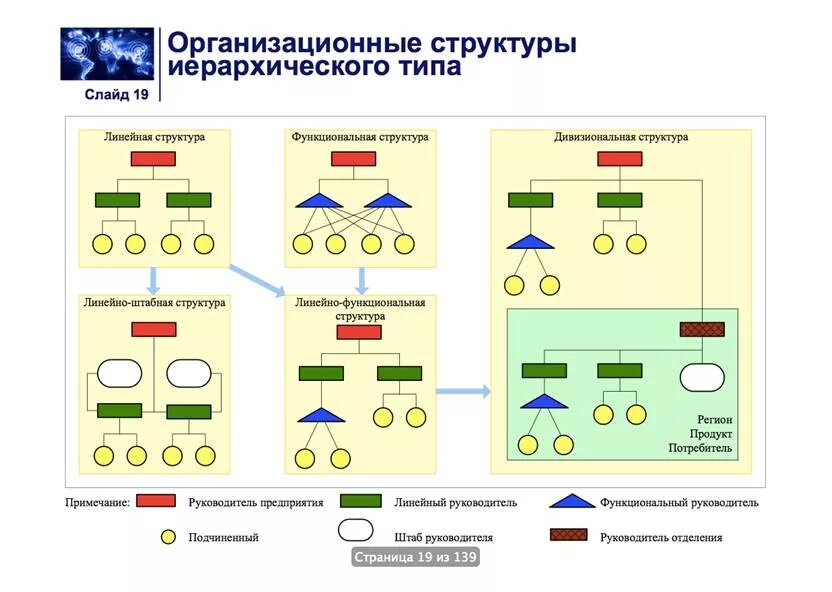 Организация ее виды структура. Иерархический Тип структур управления. Иерархический Тип организационной структуры управления. Функциональная иерархическая структура. Организация и иерархическое построение процессов управления.