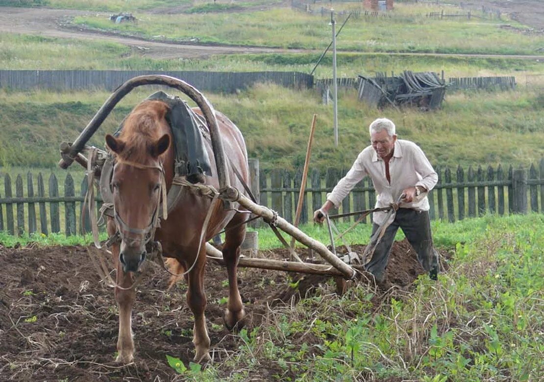 На какой передаче пахать. Пахать землю. Лошадь пашет землю.