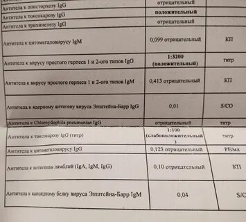 Антитела к лямблиям токсокарам