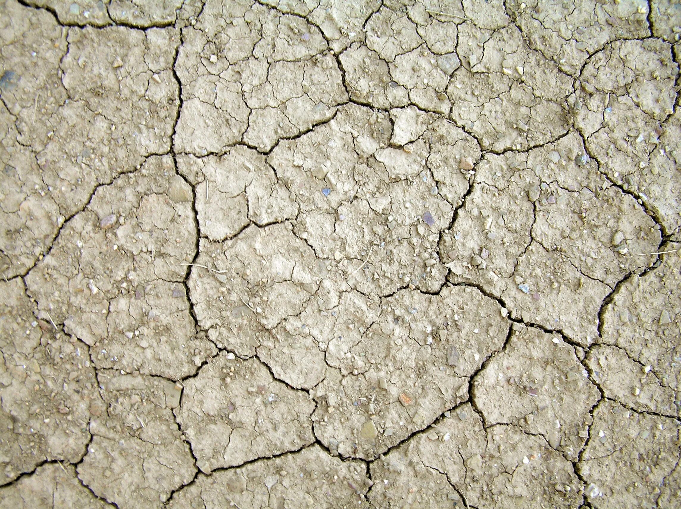 Texture based